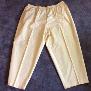 🌼Yellow Pants🌼